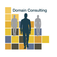 Domain Consulting Logo
