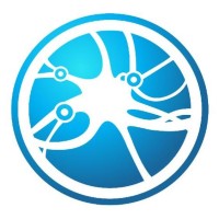 NeuroCyber Logo