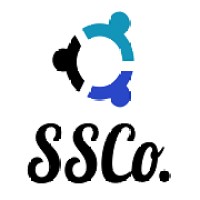 Secure Solutions, Co. Logo