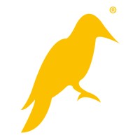 Yellowhammer Multimedia, LLC Logo