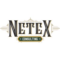 NeTex Consulting Logo