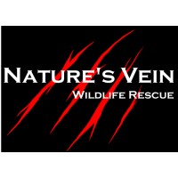 Natures Vein Wildlife Rescue and Education Logo