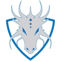 Dragon Fire Tools Logo