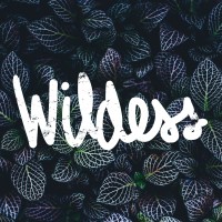 WILDESS Digital Logo