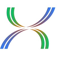 NIR Srl - Next Intelligent Research Logo