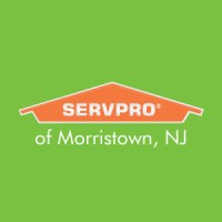 SERVPRO of Morristown Logo