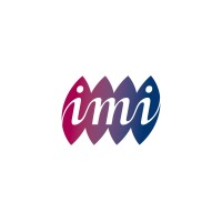Innovative Marketing International Logo