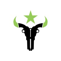 Houston Outlaws Logo