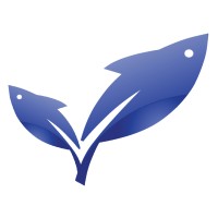 Nova Vision, LLC Logo