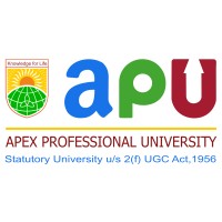 Apex Professional University (APU) Logo