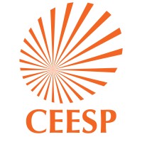Center of Excellence in Energy and Power Systems - CEESP Logo