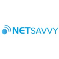 Netsavvy Logo