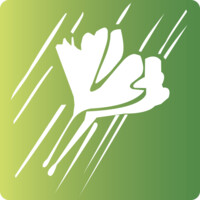 Bellaflor Group Logo