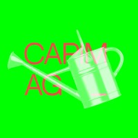 Capim.AG Logo
