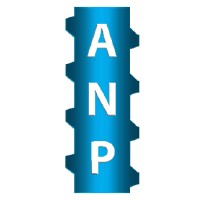 ANP-Systems GmbH Logo