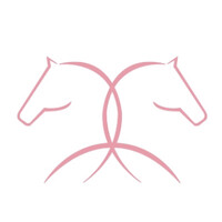 Steed International Trade S.A. Logo