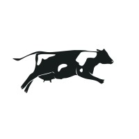 Holy Cow Design Logo