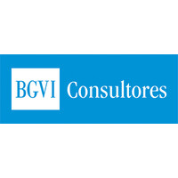 BGVI Consultores Logo