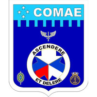 Centro de Operações Espaciais - COPE Logo