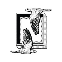 Nightjar Coffee Roasters Logo