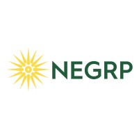 Northeastern Group Ltd Logo