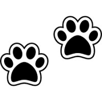 DoggZam Logo
