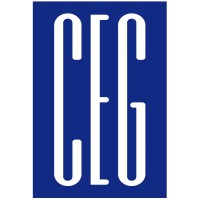 The Consulting Engineers Group-FL, Inc. Logo