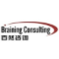 Braining Business Consulting Logo
