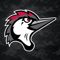 Fayetteville Woodpeckers Logo