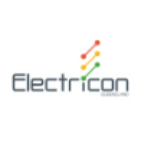 Electricon QLD Logo