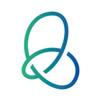 Cyber Correlate Logo