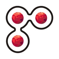 ShootOrder® - Digital Marketing Agency Logo