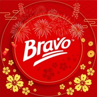 BravoHR Logo