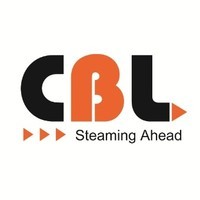 CHEEMA BOILERS LIMITED Logo