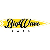 Big Wave Data Logo