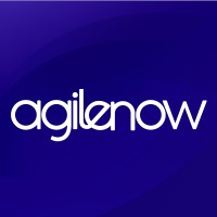 Agilenow.eu Logo