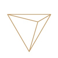 Lion, Santos & Monteiro Logo