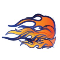 Flame Science International Pty Ltd Logo