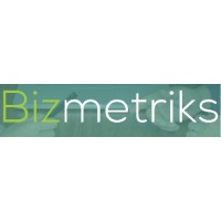 Bizmetriks Logo
