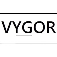 Vygor Finance Logo
