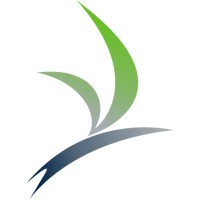 MindsetPT Logo