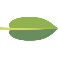 Surface Experts of Boulder-Denver Logo
