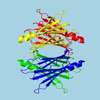 Amiloidose Dante Logo