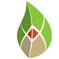 Avolutions Logo