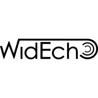 Wide Echo Logo