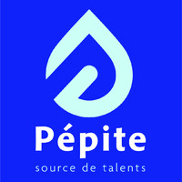 Pepite.biz Logo