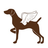 BirdDog Partners Logo