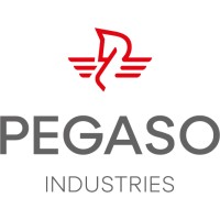 Pegaso Industries S.p.A. Logo