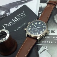 DavidSW Logo