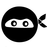 Digital Ninjas Logo